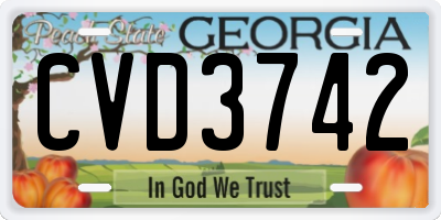 GA license plate CVD3742