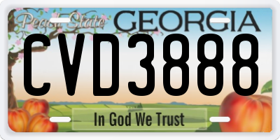 GA license plate CVD3888