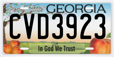 GA license plate CVD3923