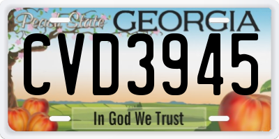 GA license plate CVD3945