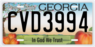GA license plate CVD3994