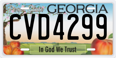 GA license plate CVD4299