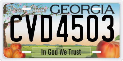 GA license plate CVD4503