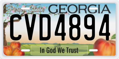 GA license plate CVD4894