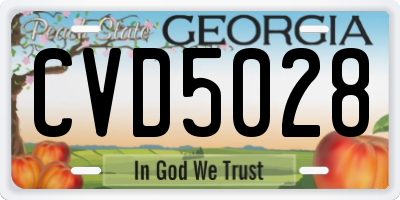 GA license plate CVD5028