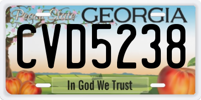 GA license plate CVD5238