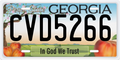 GA license plate CVD5266