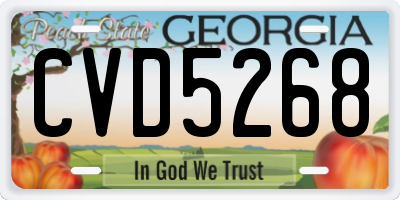 GA license plate CVD5268