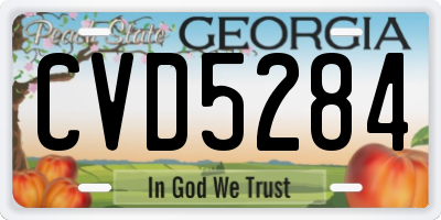 GA license plate CVD5284