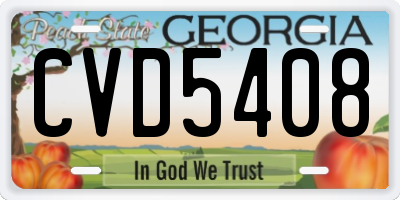 GA license plate CVD5408