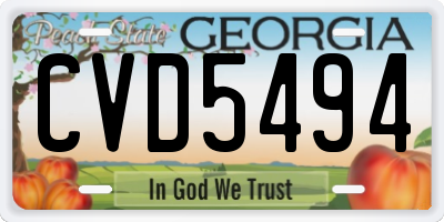 GA license plate CVD5494