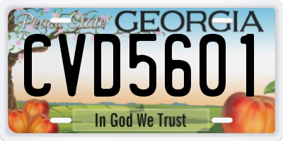 GA license plate CVD5601