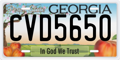 GA license plate CVD5650