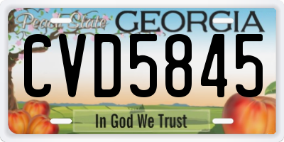 GA license plate CVD5845
