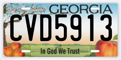 GA license plate CVD5913