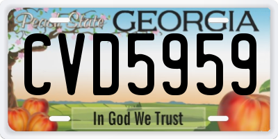 GA license plate CVD5959