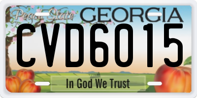 GA license plate CVD6015