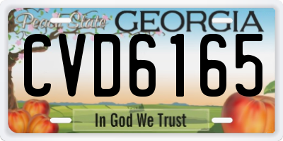 GA license plate CVD6165
