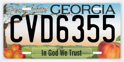 GA license plate CVD6355
