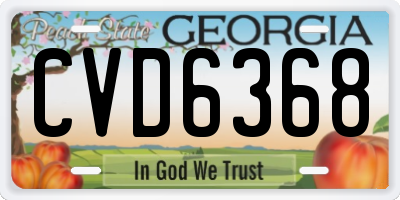 GA license plate CVD6368