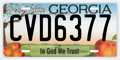 GA license plate CVD6377