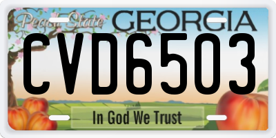 GA license plate CVD6503