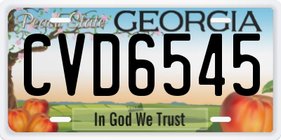 GA license plate CVD6545