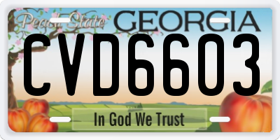 GA license plate CVD6603