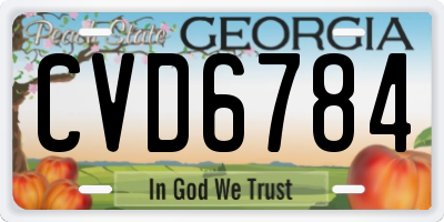 GA license plate CVD6784