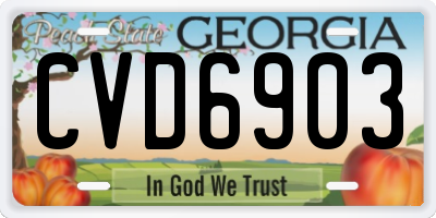 GA license plate CVD6903