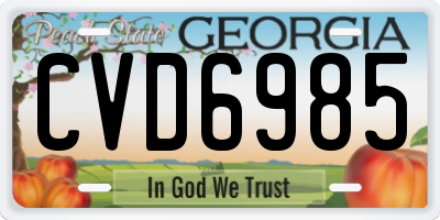 GA license plate CVD6985