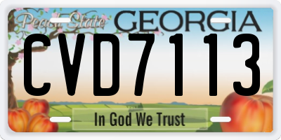 GA license plate CVD7113