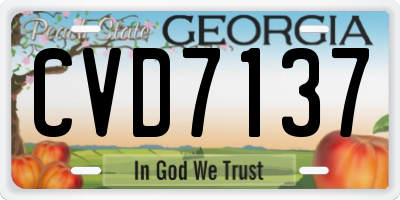 GA license plate CVD7137