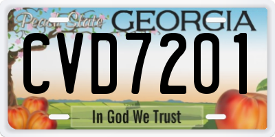 GA license plate CVD7201