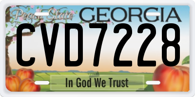 GA license plate CVD7228
