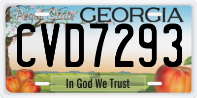 GA license plate CVD7293