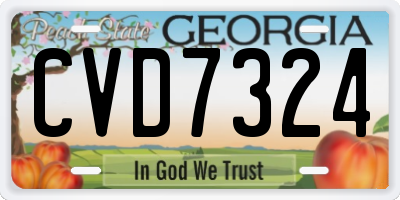 GA license plate CVD7324