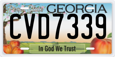 GA license plate CVD7339