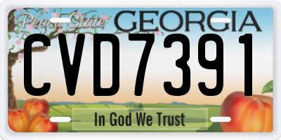 GA license plate CVD7391