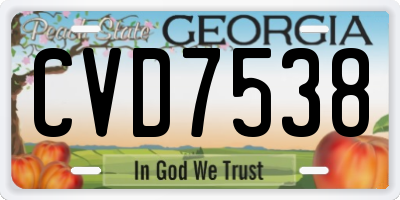 GA license plate CVD7538