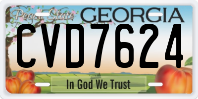 GA license plate CVD7624