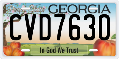 GA license plate CVD7630
