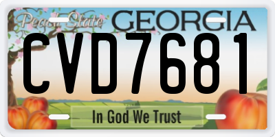 GA license plate CVD7681