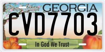GA license plate CVD7703