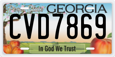 GA license plate CVD7869