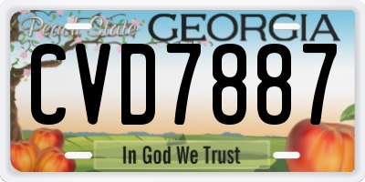 GA license plate CVD7887