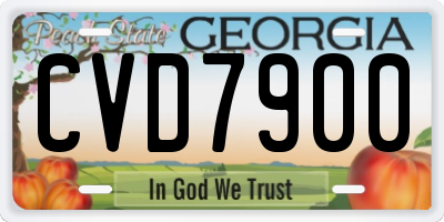 GA license plate CVD7900