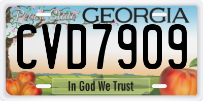 GA license plate CVD7909