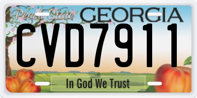 GA license plate CVD7911
