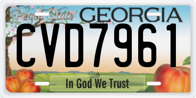 GA license plate CVD7961